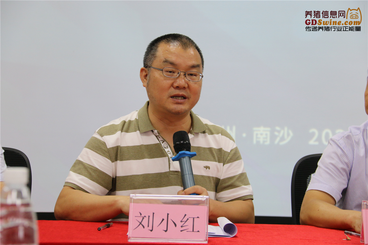 小红科技前沿,小红科技前沿股票 小红科技前沿,小红科技前沿股票