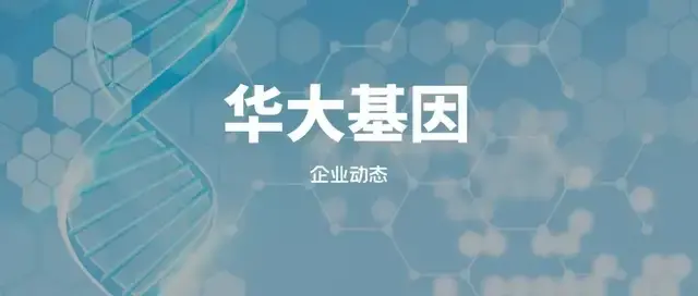 华大基因生命科学招聘,2026华大基因招聘官网 华大基因生命科学招聘,2026华大基因招聘官网