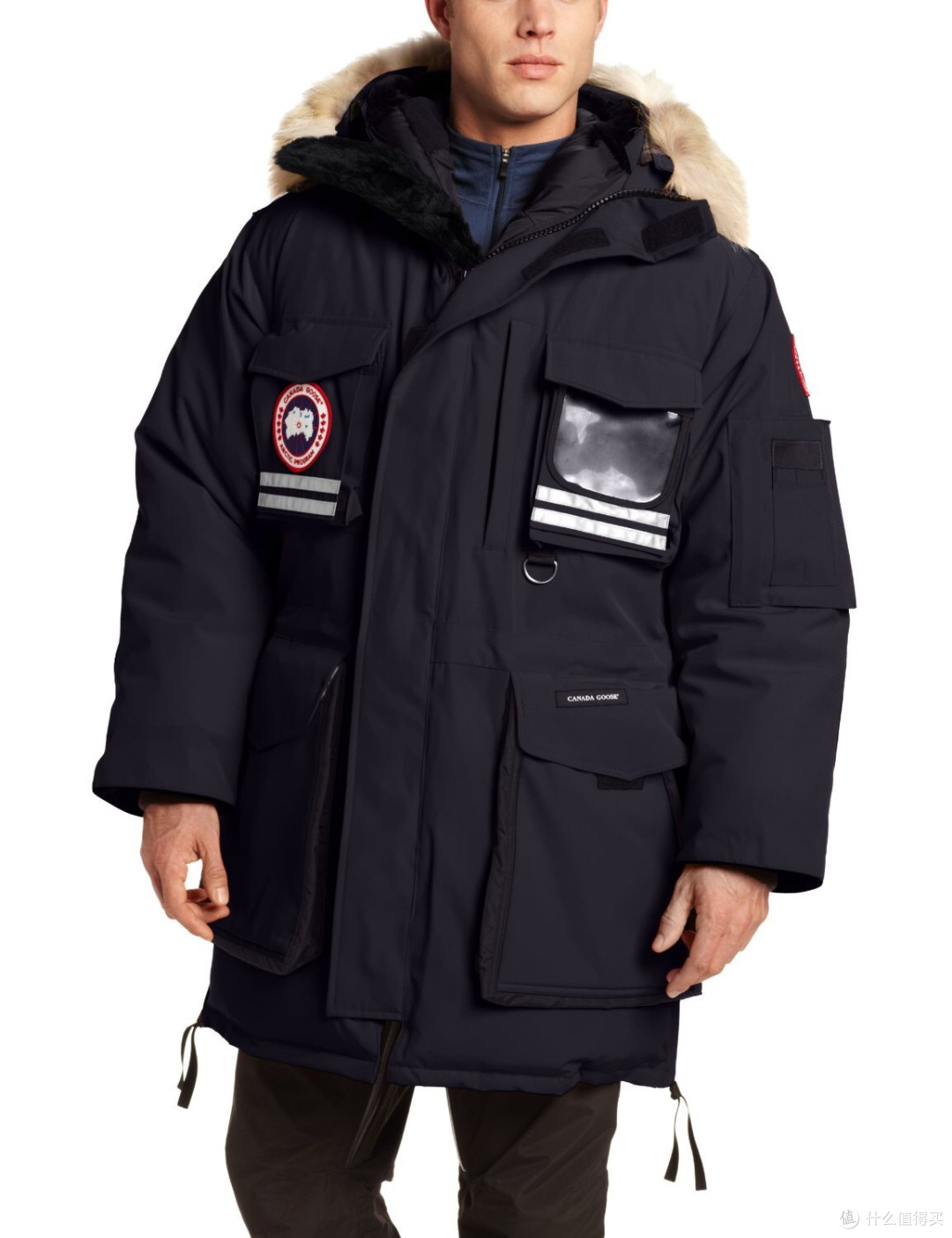 地球科学家鹅绒服,地球科学家鹅绒服是谁 地球科学家鹅绒服,地球科学家鹅绒服是谁