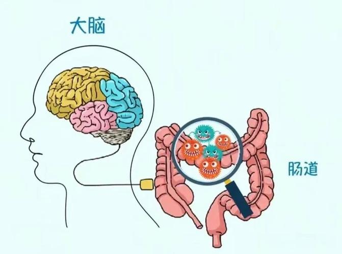 延缓衰老科技前沿,延缓衰老最新研究方法 延缓衰老科技前沿,延缓衰老最新研究方法