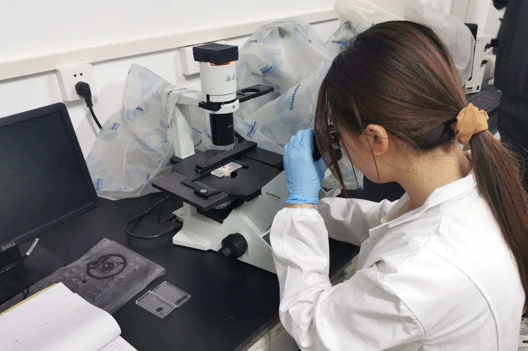 生命科学园室友有哪些,生命科学园室友有哪些服务项目