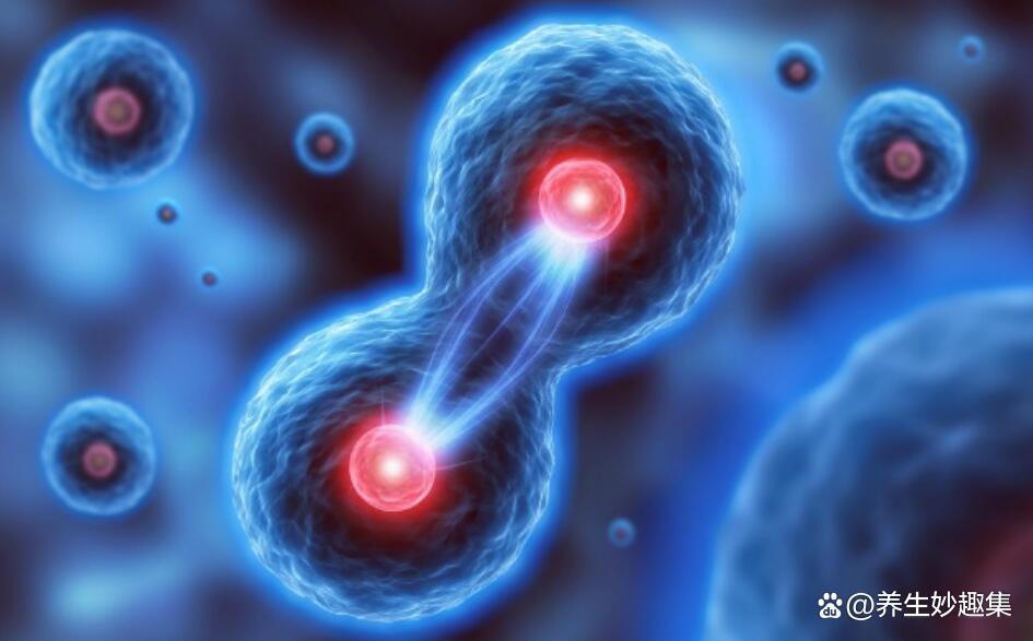 现代生命科学前沿领域,生命科学前沿功能蛋白质研究 现代生命科学前沿领域,生命科学前沿功能蛋白质研究