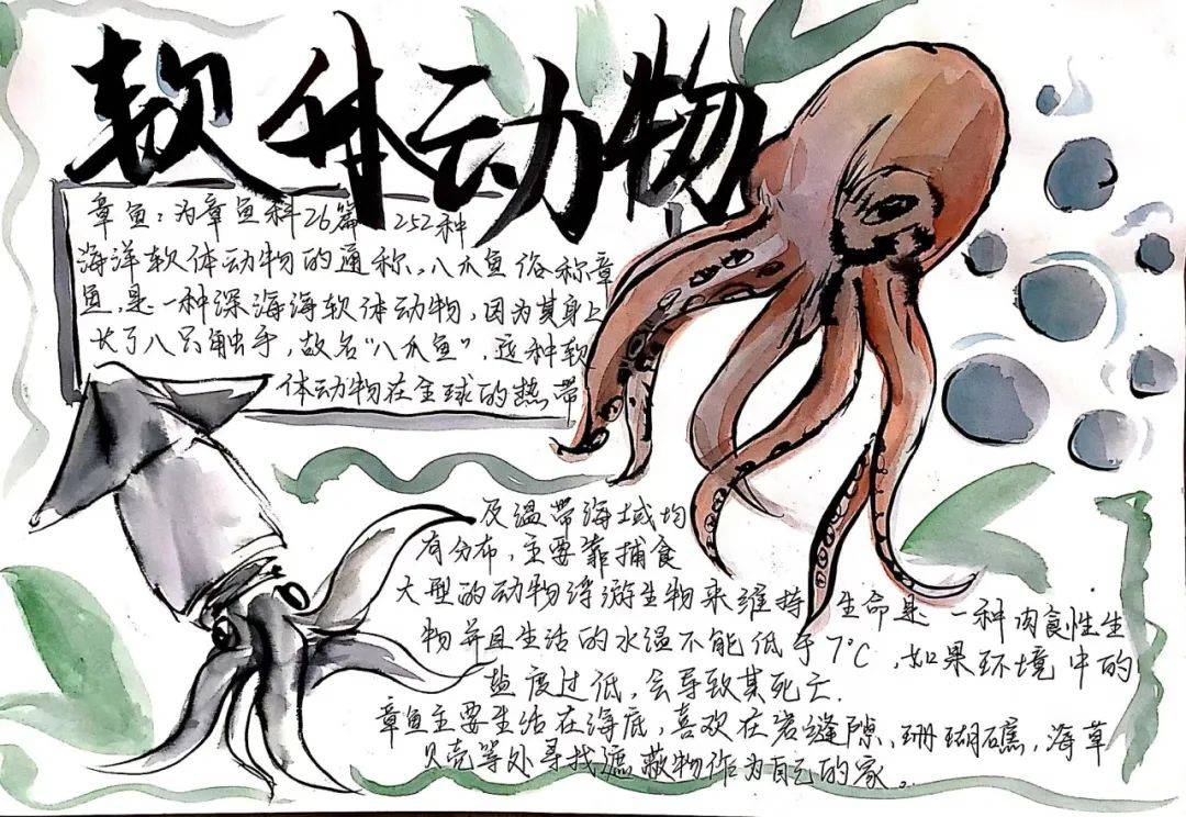 生命科学思维教育,生命科学思维教育心得体会