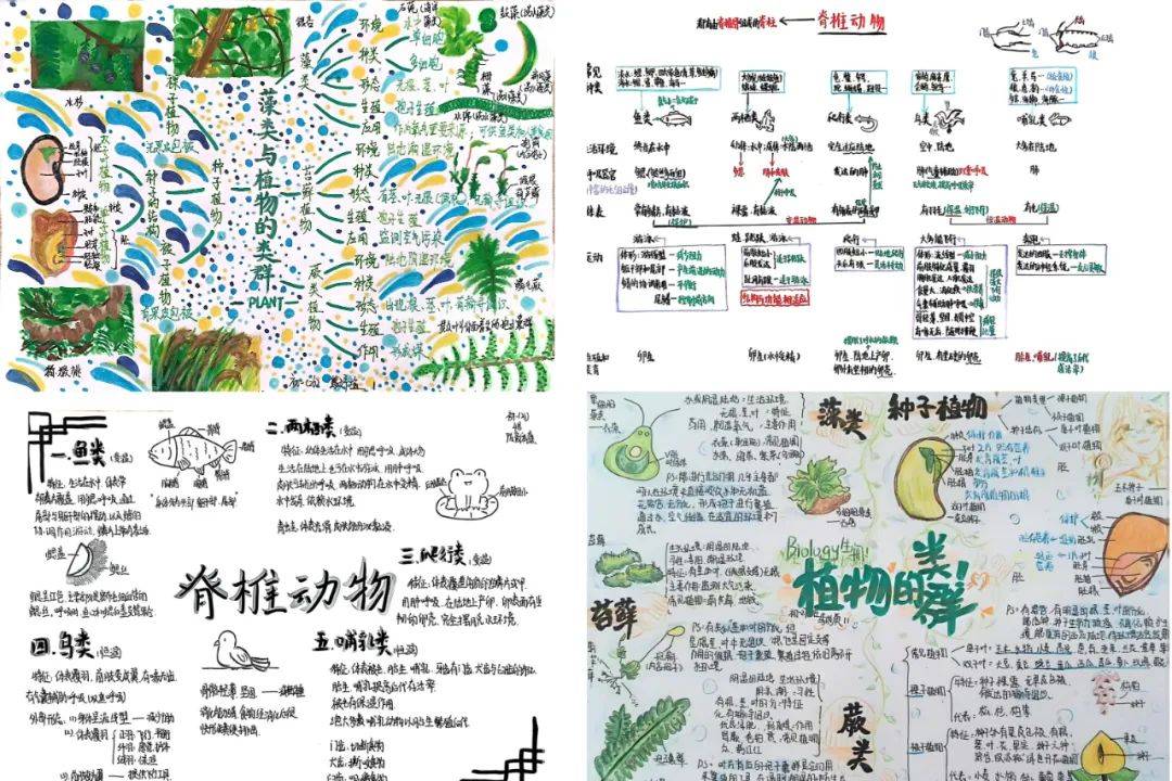 生命科学思维教育,生命科学思维教育心得体会
