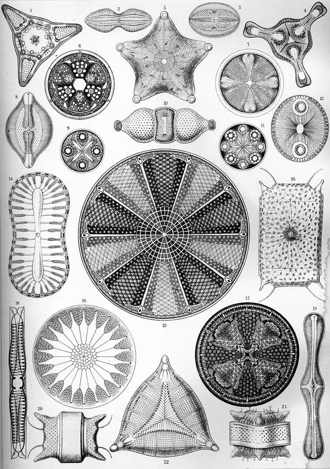 科幻与生命科学论文,科幻与生命科学论文范文 科幻与生命科学论文,科幻与生命科学论文范文