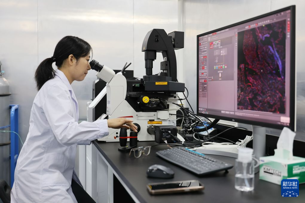 生命科学创新实验,生命科学与创新创业大楼 生命科学创新实验,生命科学与创新创业大楼