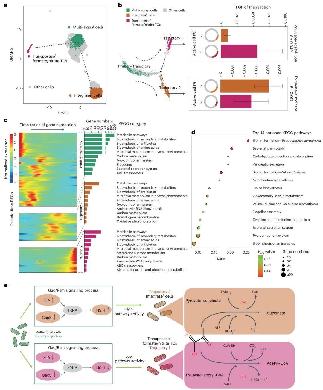 生命科学专业文献,生命科学专业专业课有哪些 生命科学专业文献,生命科学专业专业课有哪些