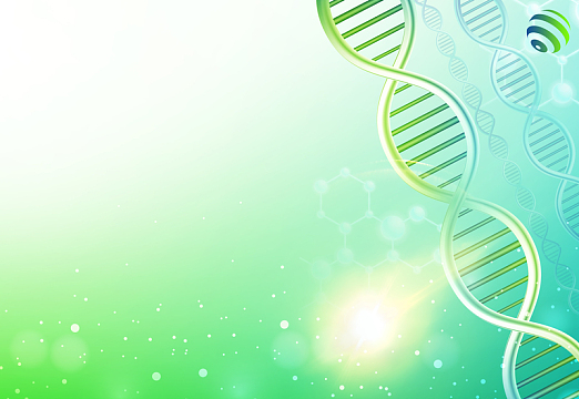 生命科学宣传画图片,生命科学插图从入门到精通 生命科学宣传画图片,生命科学插图从入门到精通