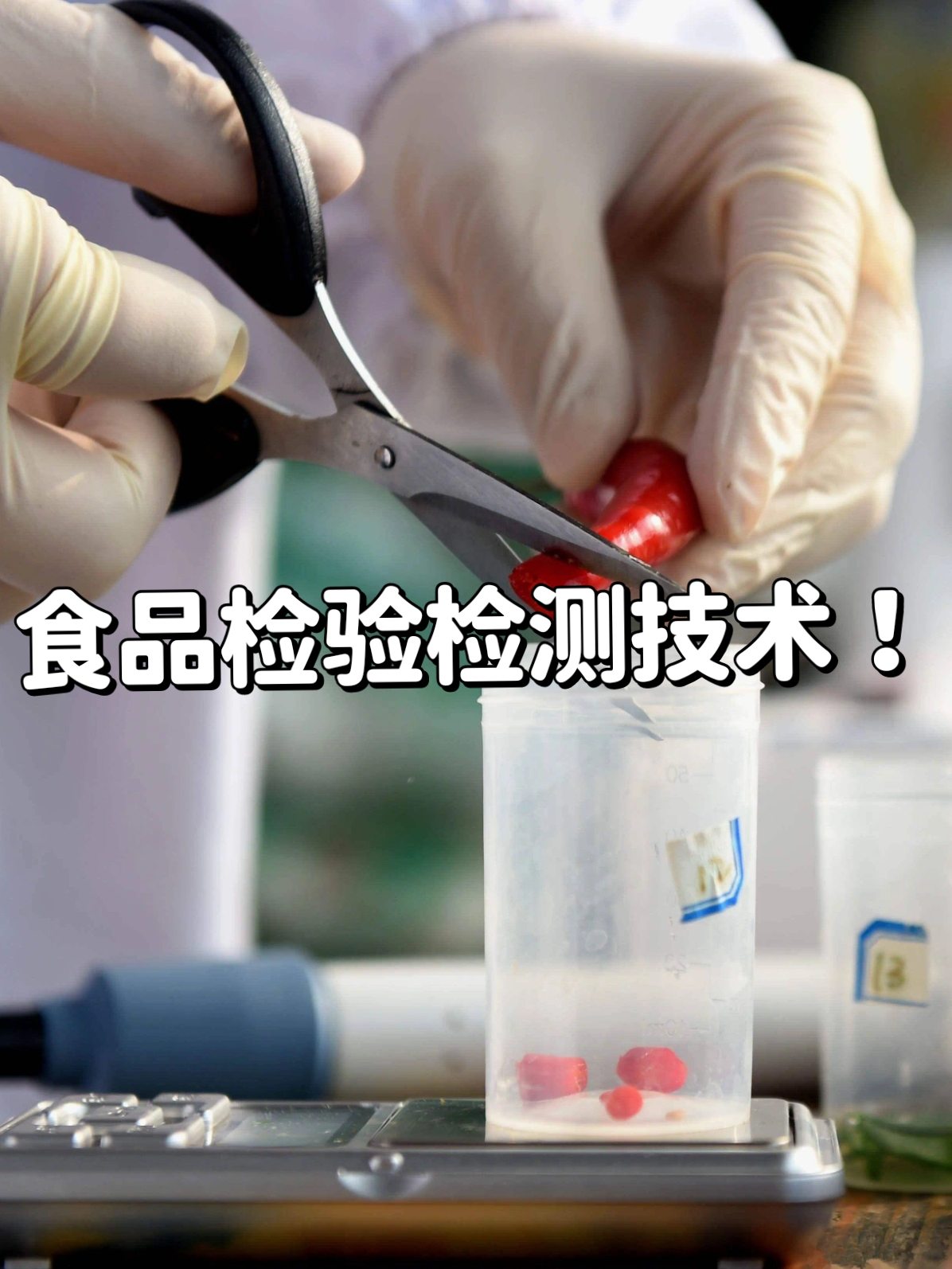 生命科学对食品影响,生命科学与食品工程学院有哪些专业 生命科学对食品影响,生命科学与食品工程学院有哪些专业