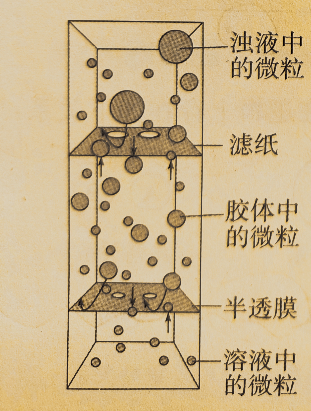 物理世界最小的微粒,物理界的最小粒子是什么