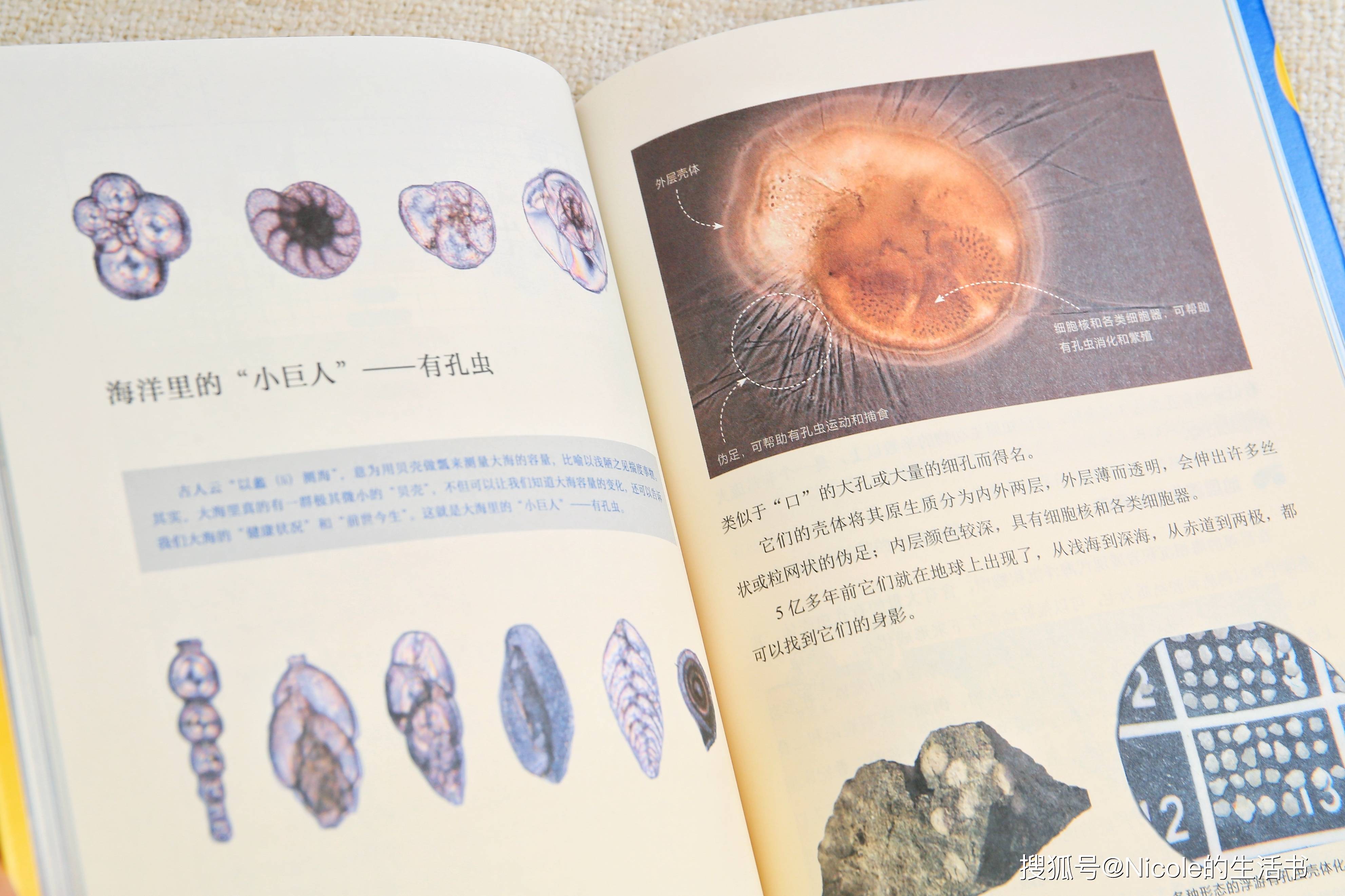科技前沿观,科技前沿观察报告范文 科技前沿观,科技前沿观察报告范文