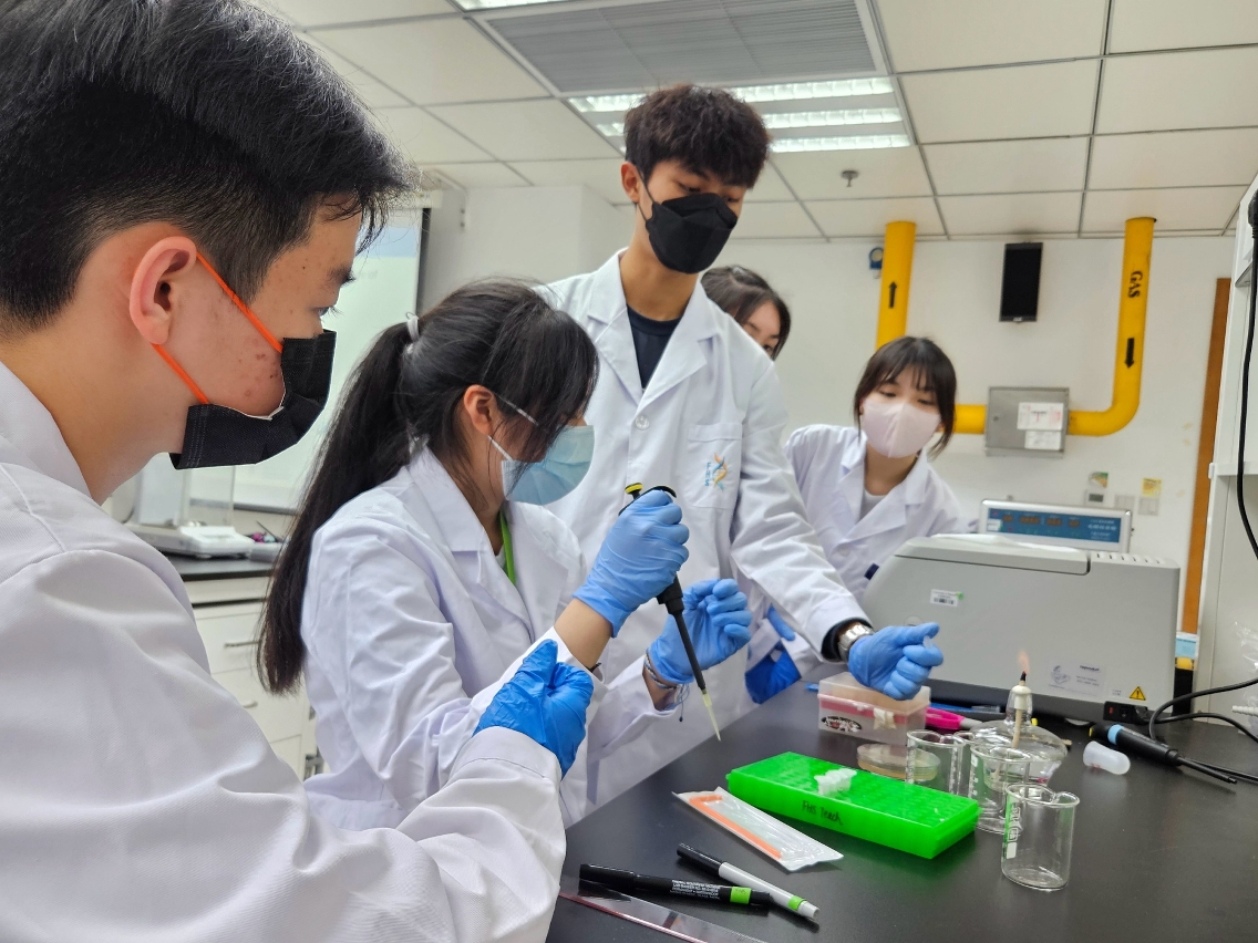 留学科技前沿,留学科研背景提升