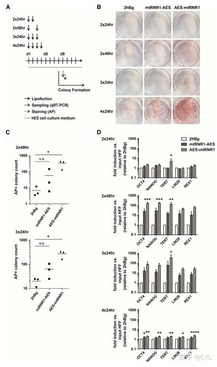 生命科学文章翻译,生命科学英文术语有哪些 生命科学文章翻译,生命科学英文术语有哪些