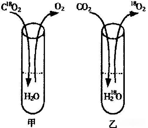 生命科学同位素检测,同位素检测多少钱一次 生命科学同位素检测,同位素检测多少钱一次