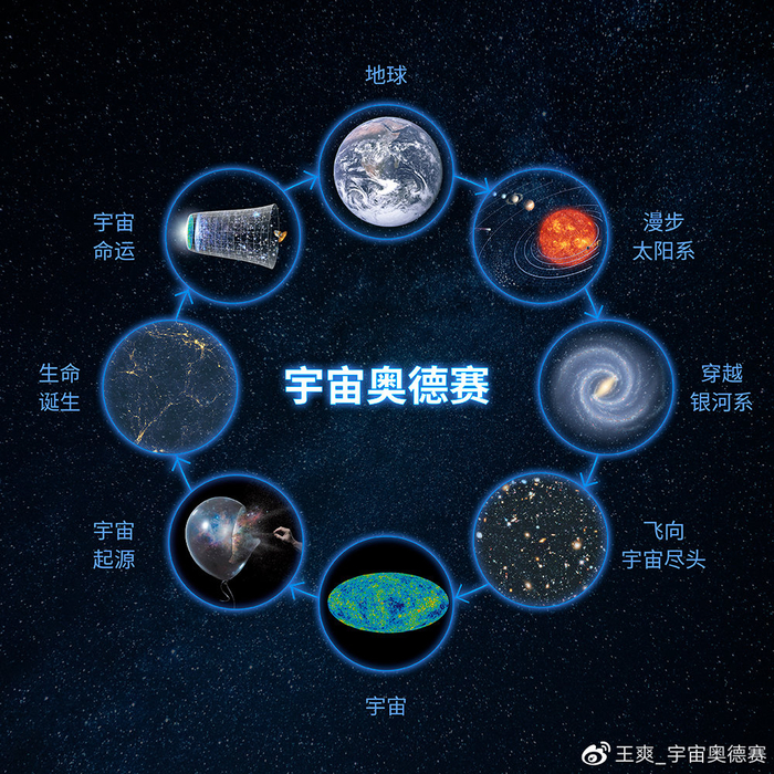 儿童天文科普知识树,科普知识 为什么树叶秋天会变黄