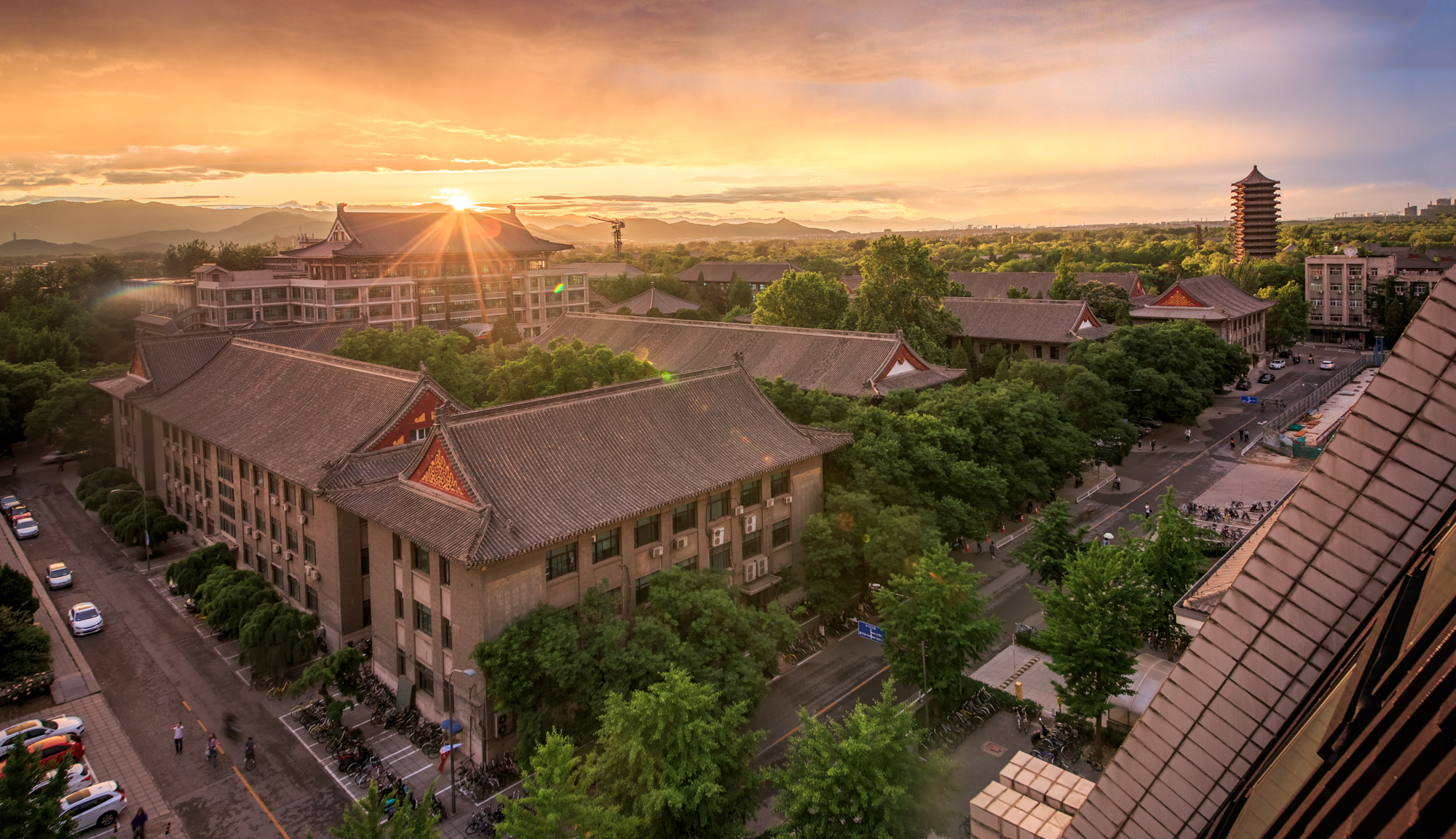 董志北大生命科学学院,中国科学技术大学生命科学学院官网