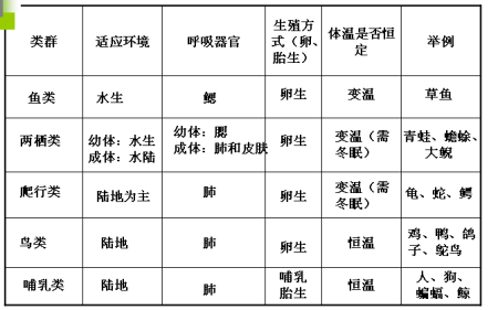 生命科学搜索表格图片,生命科学插图从入门到精通