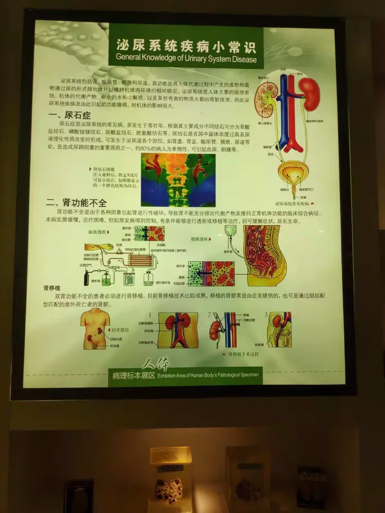 生命科学馆展区介绍,生命科学馆展区介绍怎么写