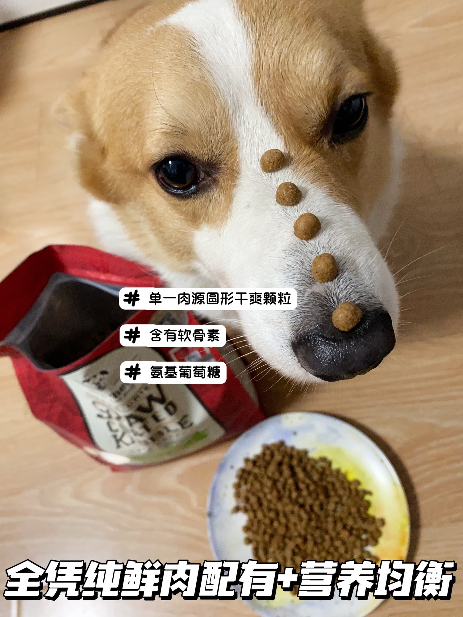 天文科普天狗食物,天狗食月其实是什么天文现象