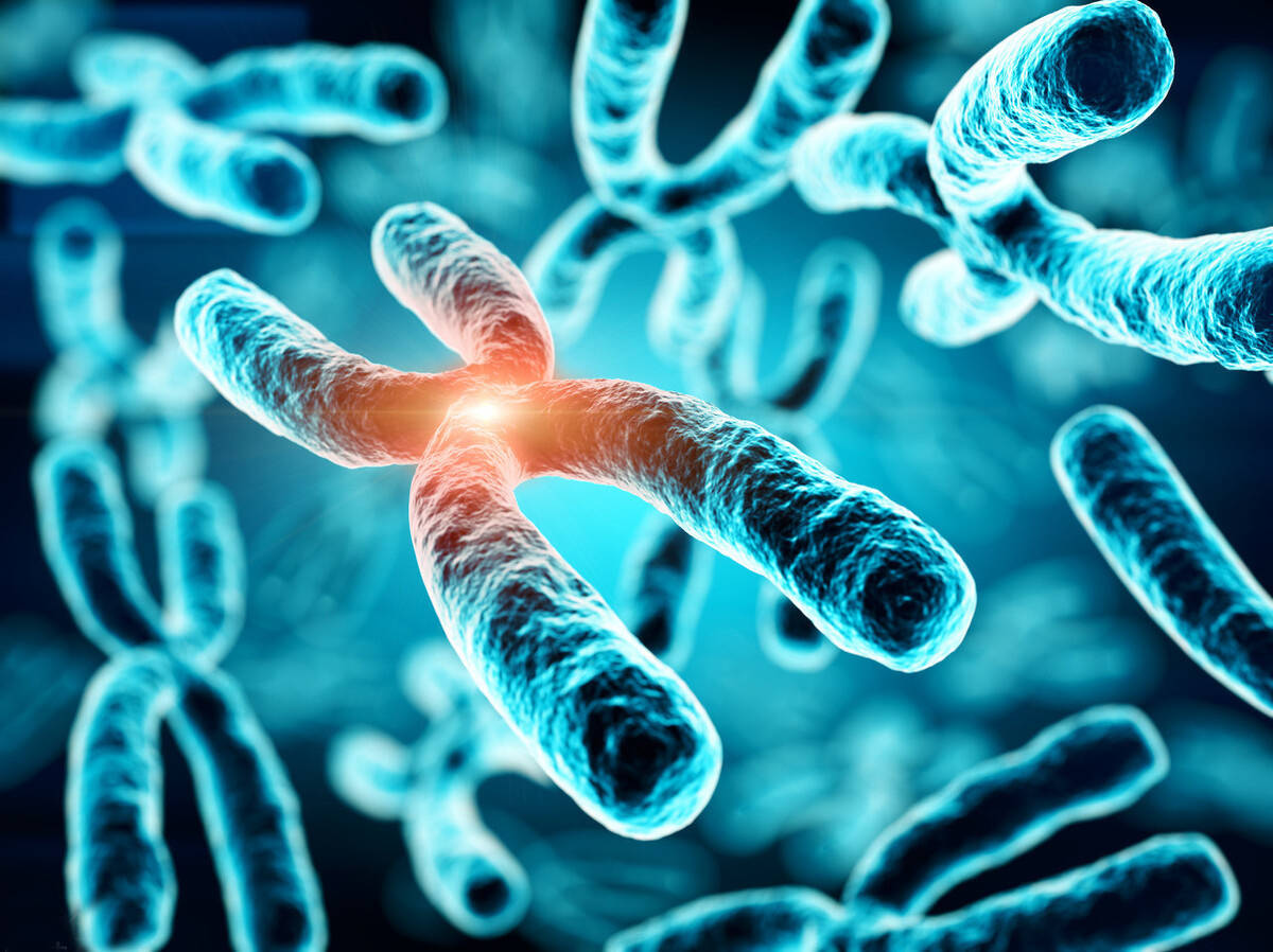 生命科学与永生的关系,生命科学与人类健康的关系