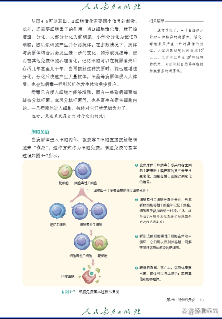 生命科学高中第一册,高一生命科学新学案答案 生命科学高中第一册,高一生命科学新学案答案