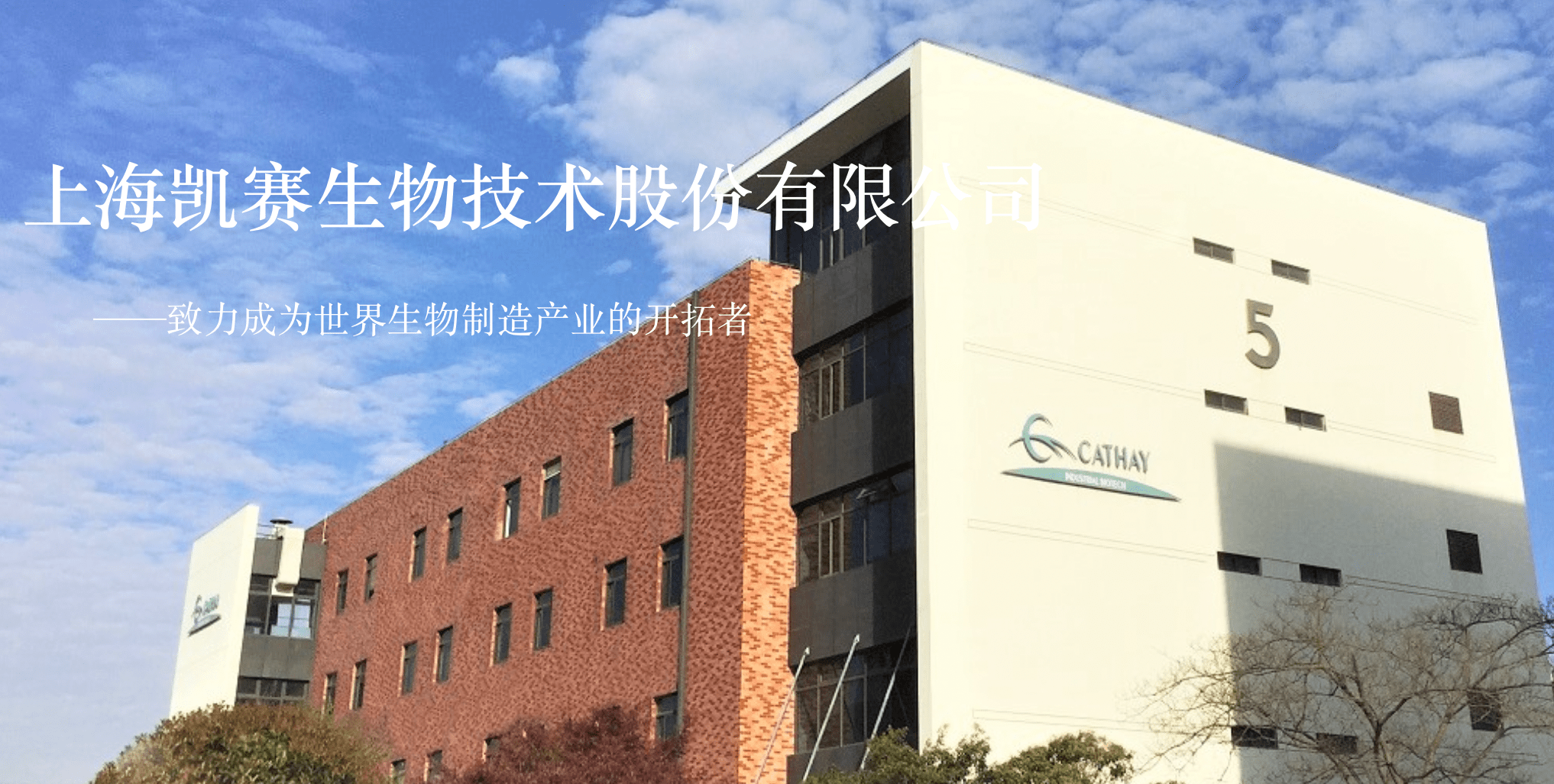 中国凯捷生命科学,凯捷中国团队现在谁管 中国凯捷生命科学,凯捷中国团队现在谁管