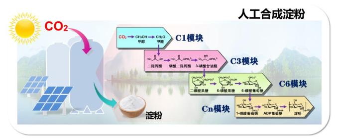中国生命科学学会官网,中国人生科学学会官网证书查询 中国生命科学学会官网,中国人生科学学会官网证书查询