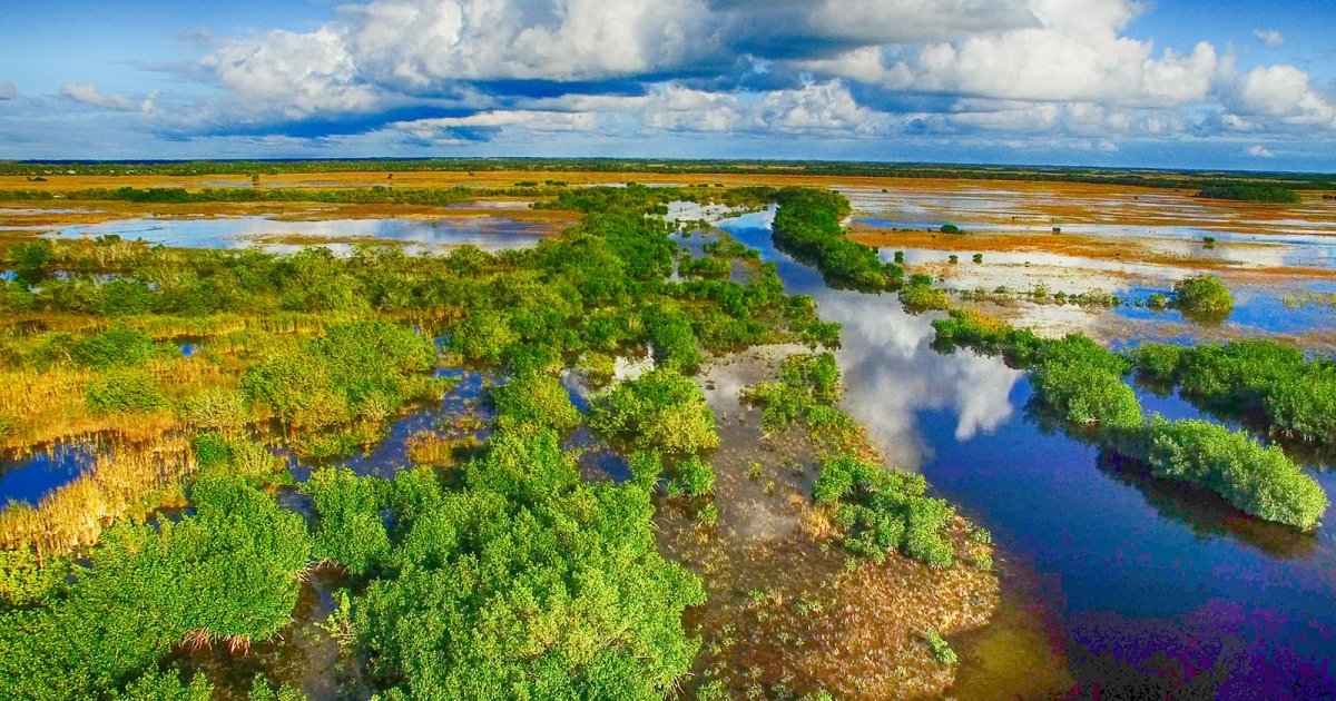 沼泽地球科学,沼泽为什么是地球之肾