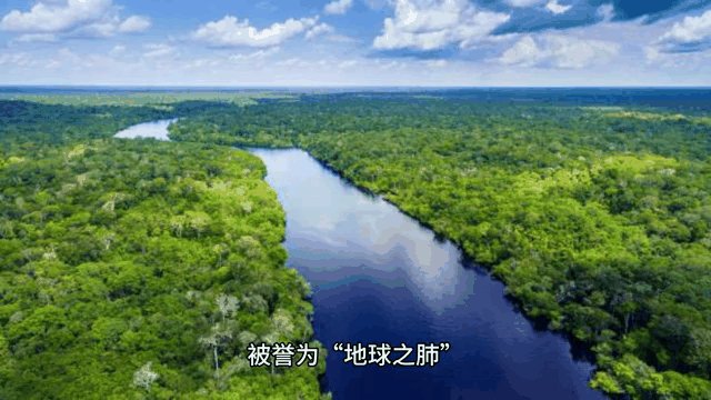 沼泽地球科学,沼泽为什么是地球之肾 沼泽地球科学,沼泽为什么是地球之肾