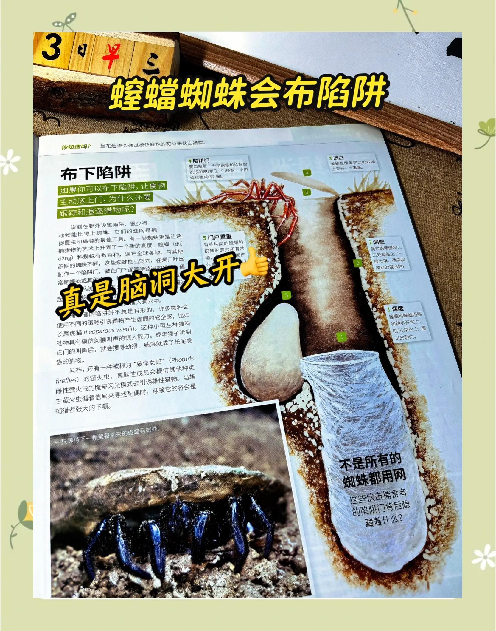 小学天文科普卖杂志,小学学校参加市里的天文知识竞赛该准备些什么呢