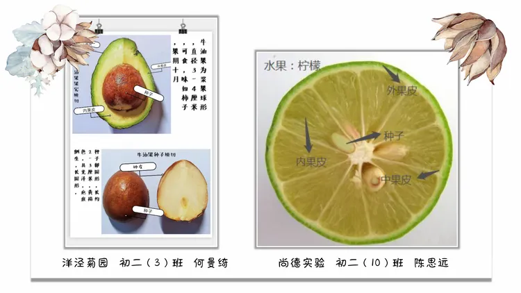 生命科学试卷浦东新区,上海生命科学初中第二册思维导图