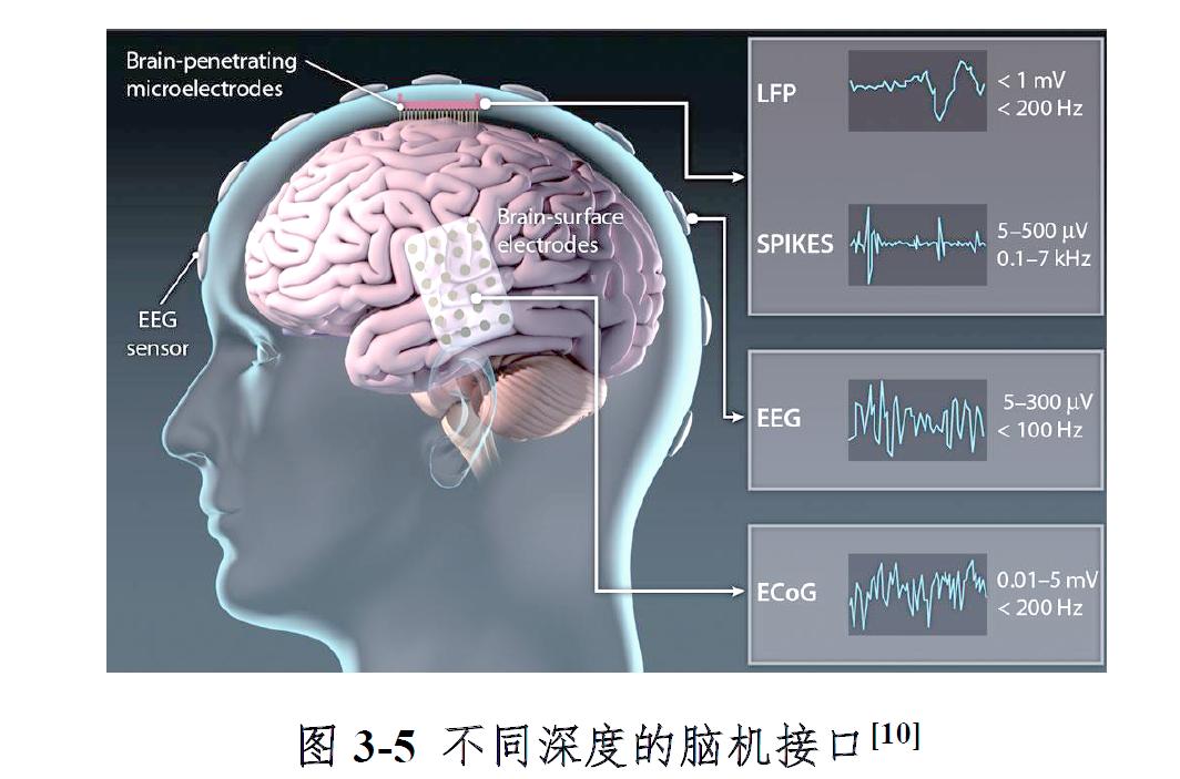 内耳科技前沿研究方向,内耳科技前沿研究方向是什么 内耳科技前沿研究方向,内耳科技前沿研究方向是什么