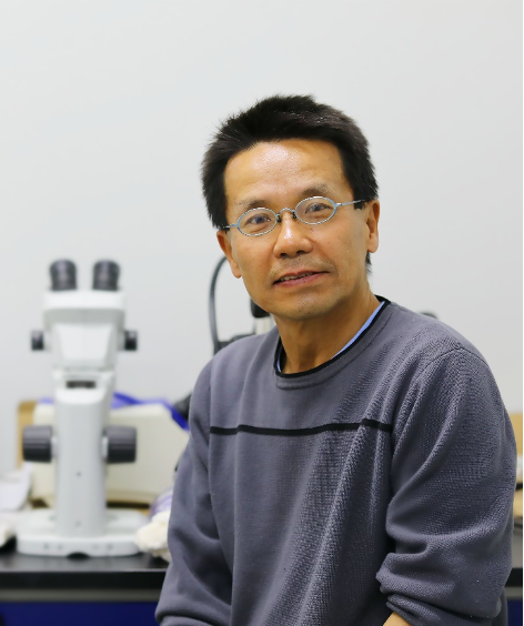 王琨清华生命科学院,清华大学生命科学院李栋 王琨清华生命科学院,清华大学生命科学院李栋