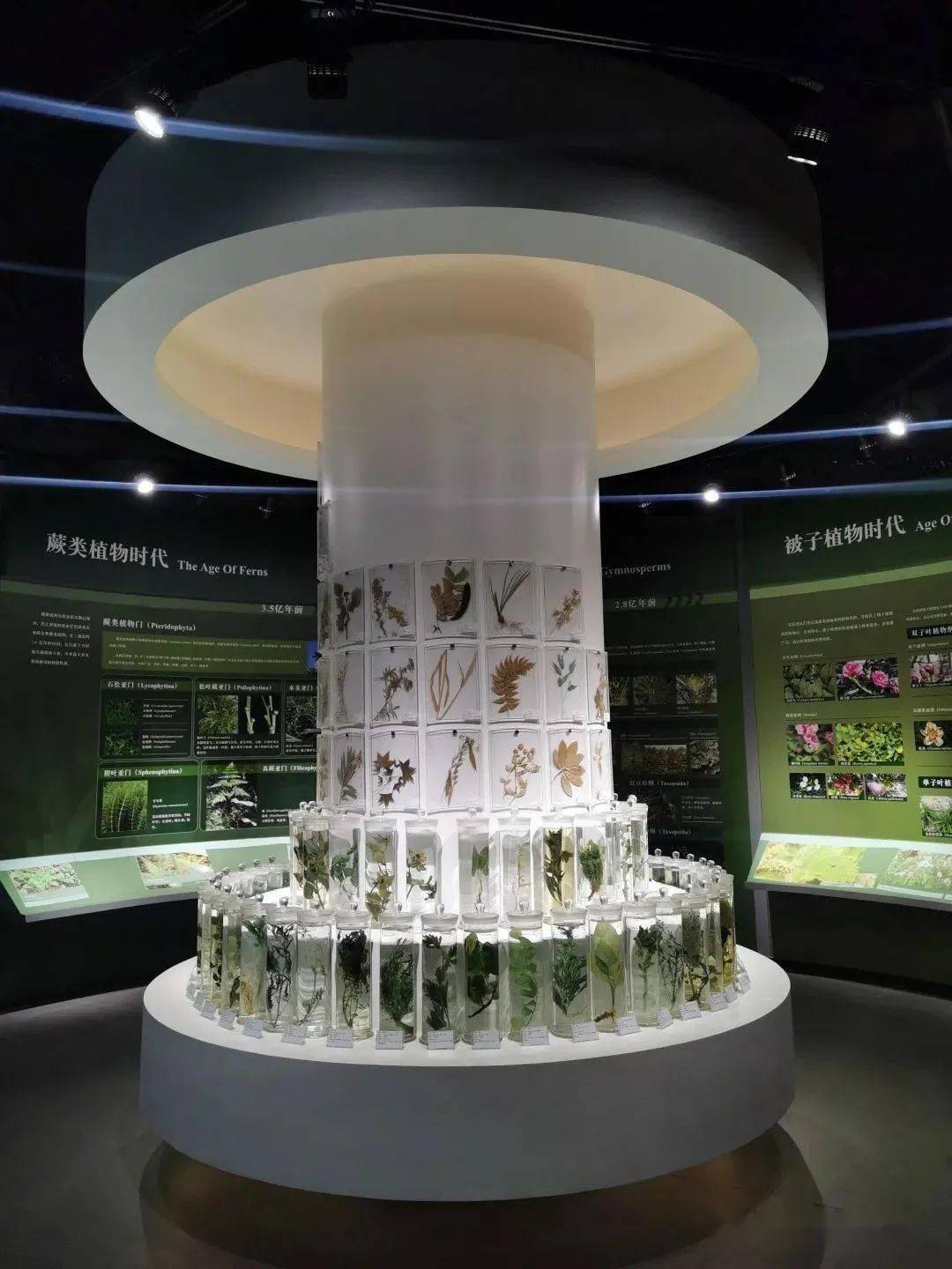 河北省生命科学中心,河北大学生命科学与绿色发展研究院 河北省生命科学中心,河北大学生命科学与绿色发展研究院