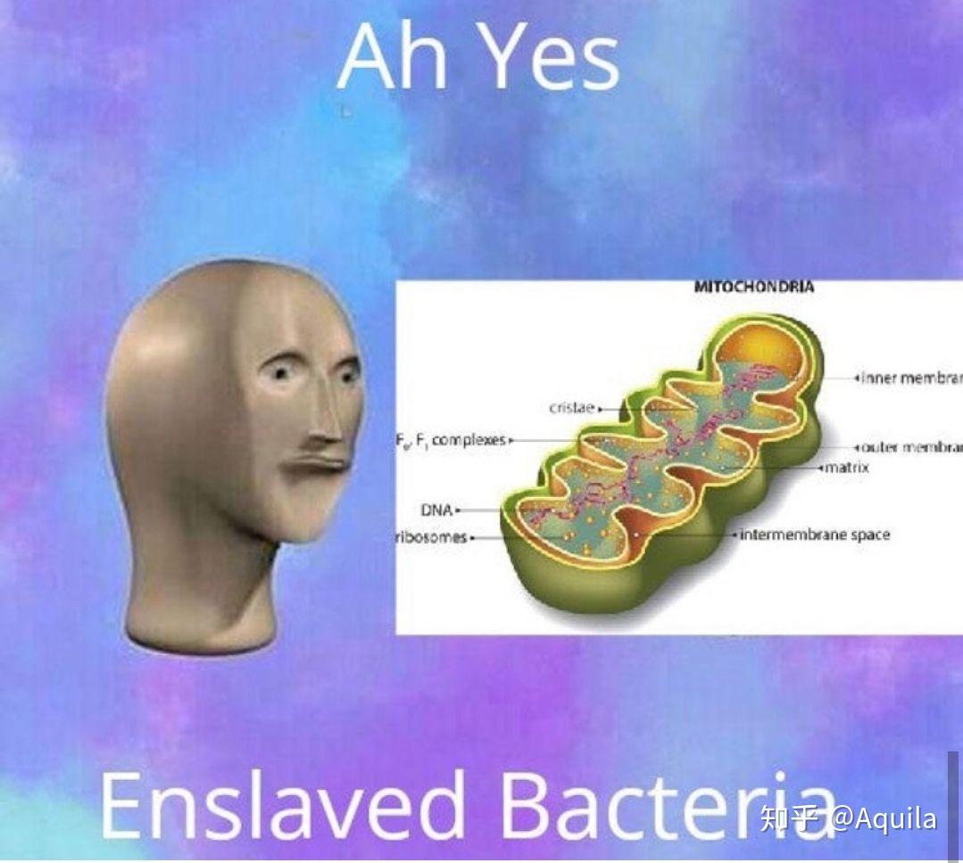 喜欢生命科学知乎,生命科学的跨学科案例
