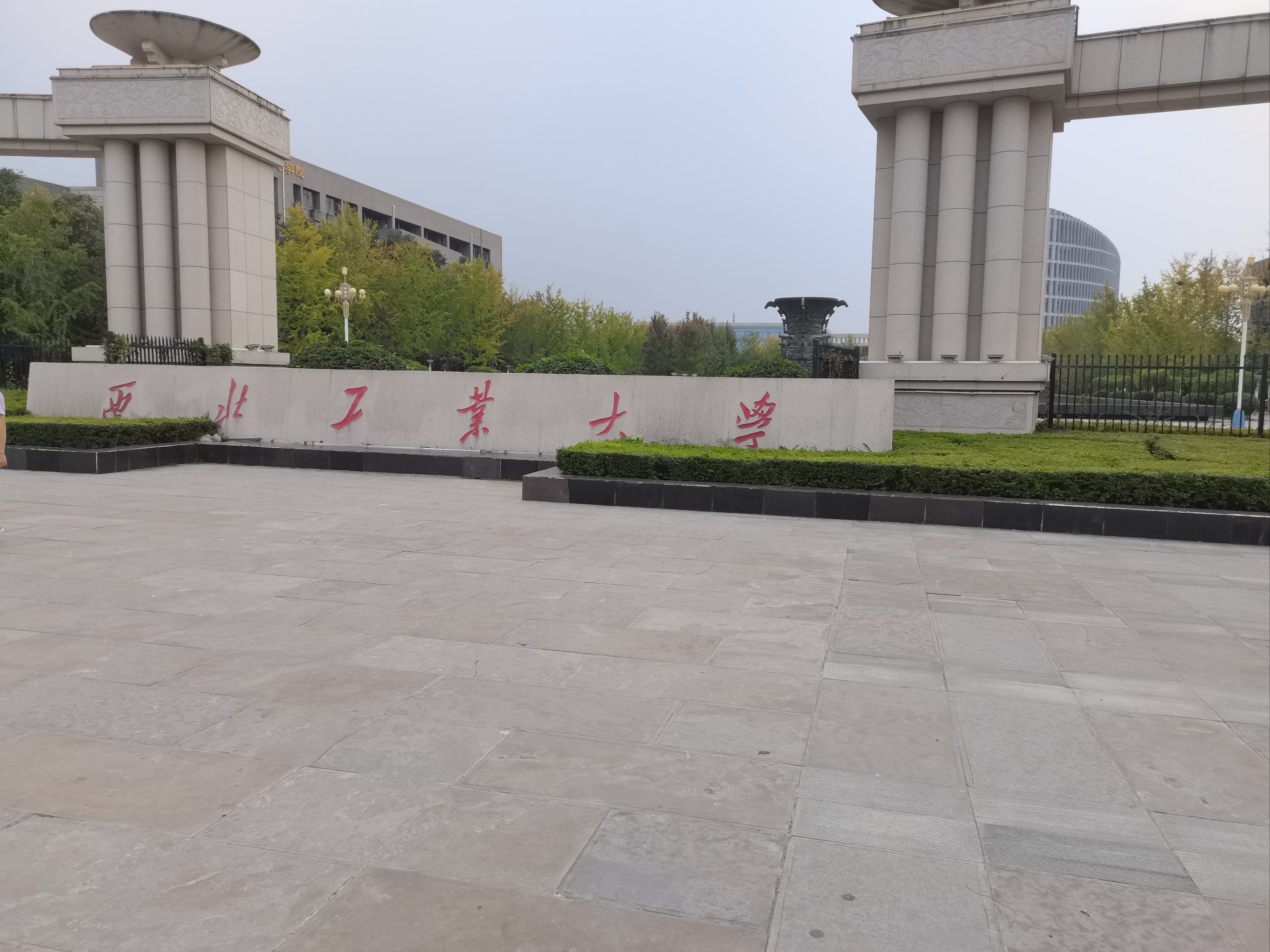 西工大生命科学与技术,西工大生命科学与技术学院预推免 西工大生命科学与技术,西工大生命科学与技术学院预推免