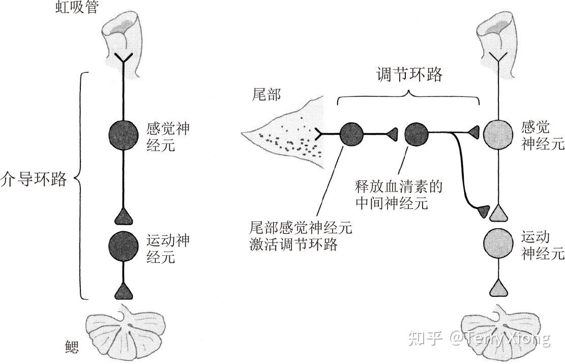 生命科学之美读后感,数学之美的读后感400 生命科学之美读后感,数学之美的读后感400