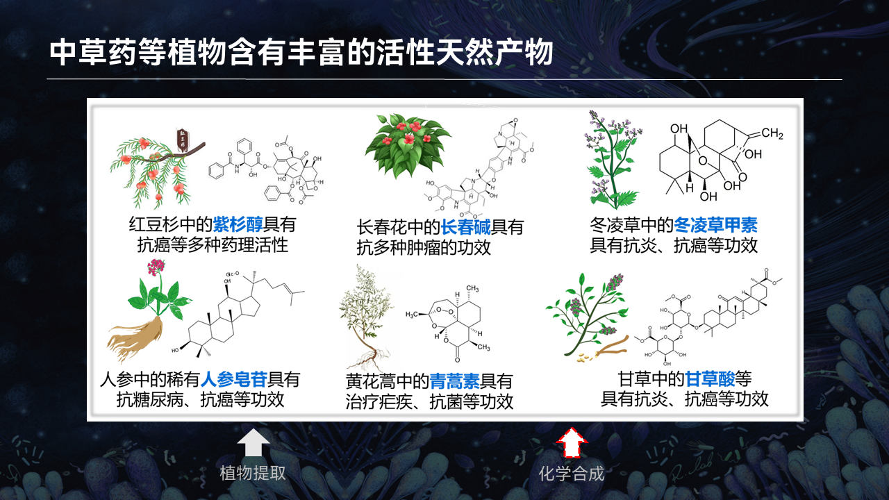 生命科学专利战略,生命科学专业针对全国推荐多个相关单位
