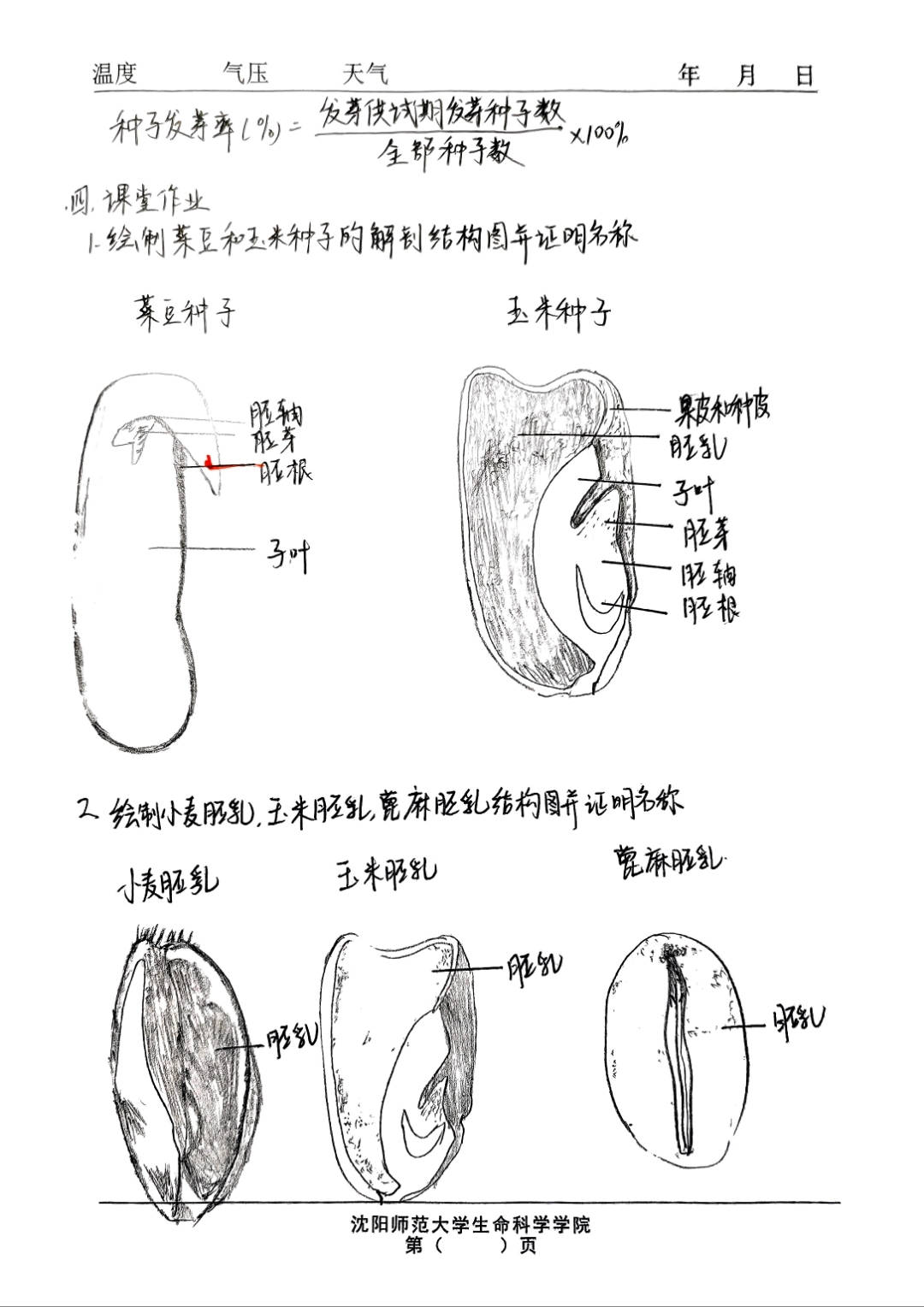 生命科学八下实验报告,生命科学实验室的仪器有哪些