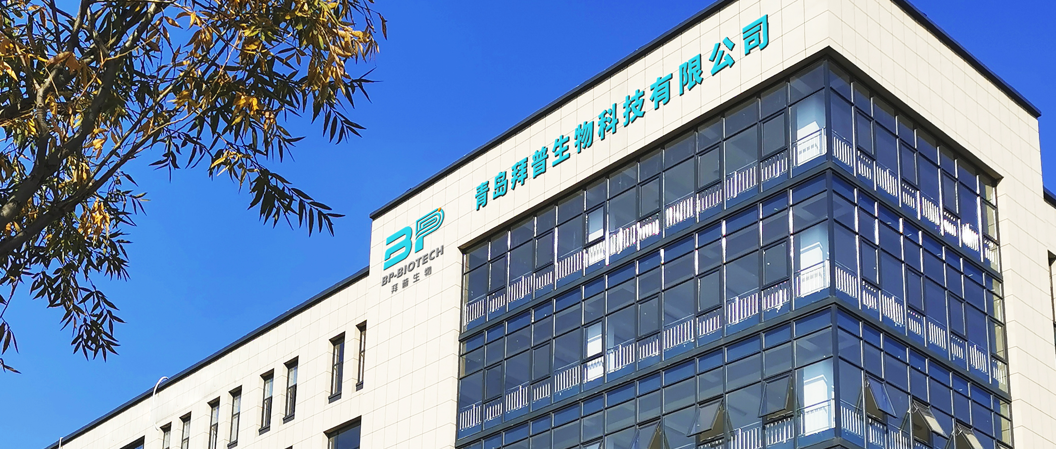 replicel生命科学公司,replicel毛囊克隆2020