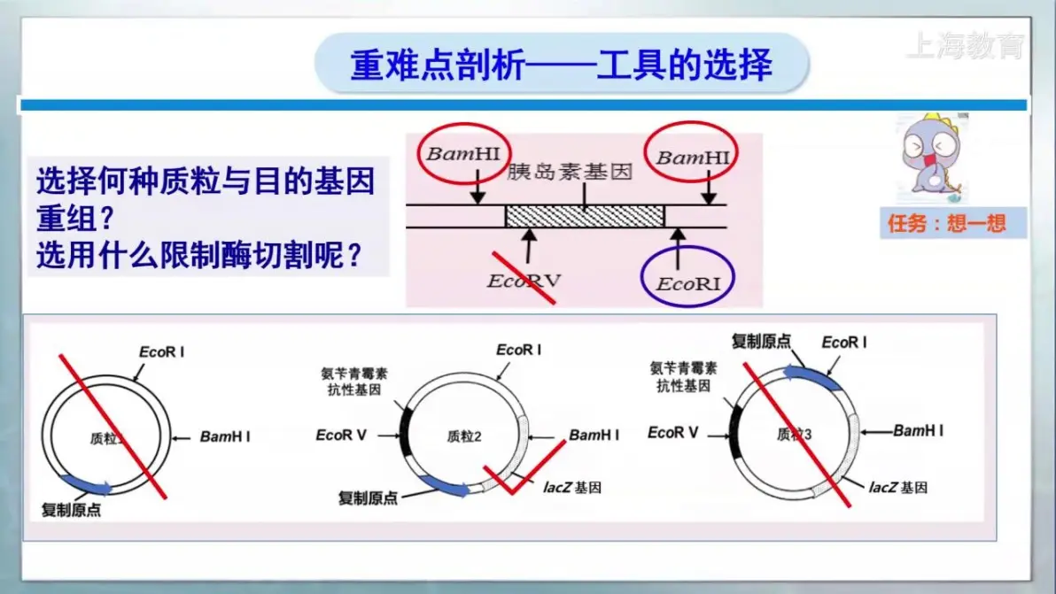 生命科学等级考精讲,生命科学竞赛科学探究类证书查询