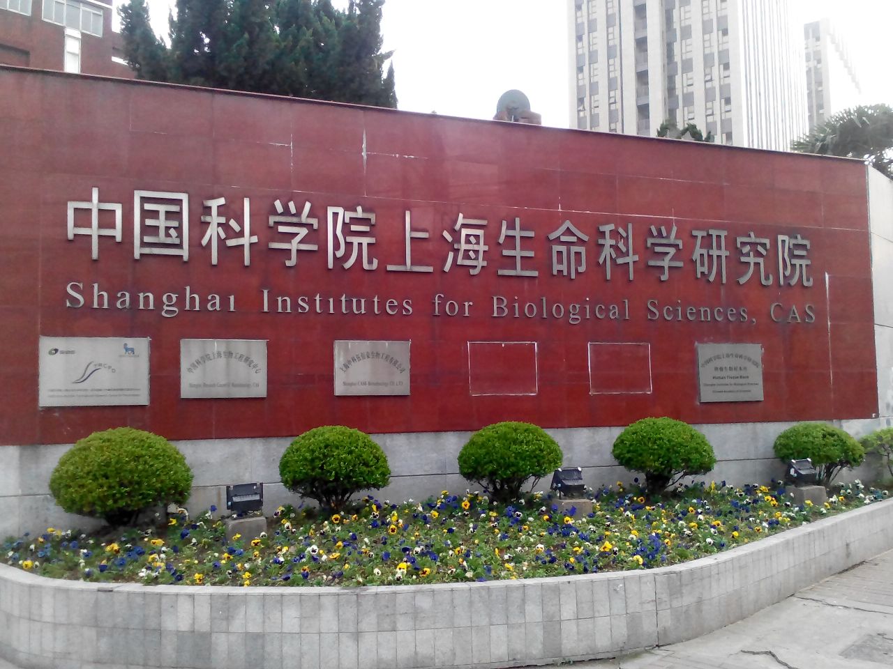 闵行生命科学院官网,闵行中心医院官网入口