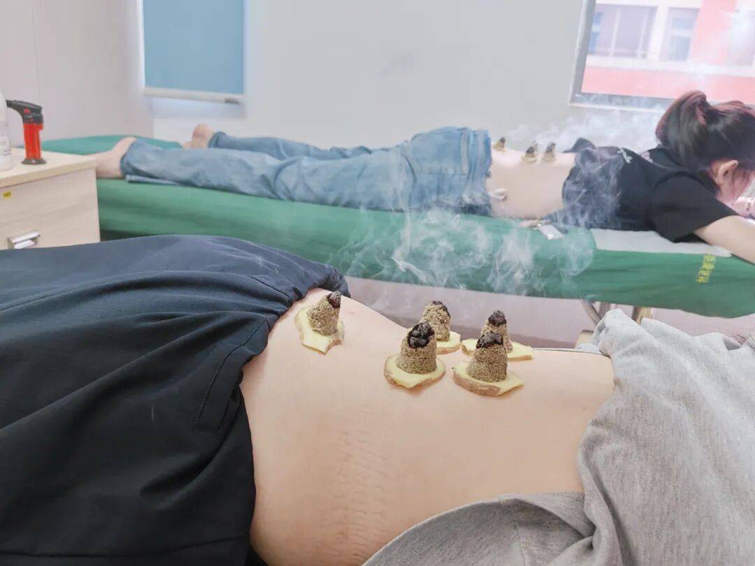 世界物理治疗师主题,世界物理治疗师主题曲叫什么