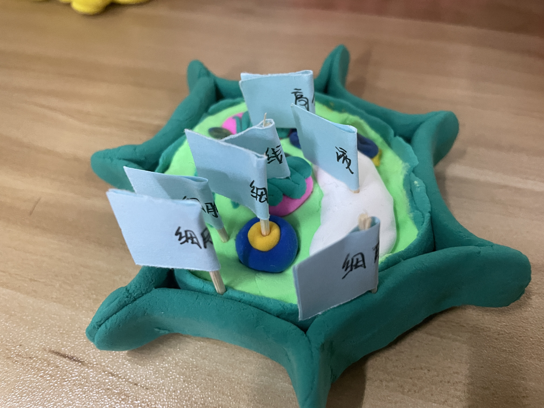 走进生命科学的作品,走进生命再生生命科学 走进生命科学的作品,走进生命再生生命科学
