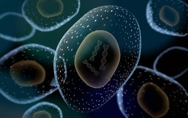 人类生命科学研究现状,人类生命科学什么时候会突破