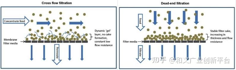 人类生命科学研究现状,人类生命科学什么时候会突破 人类生命科学研究现状,人类生命科学什么时候会突破