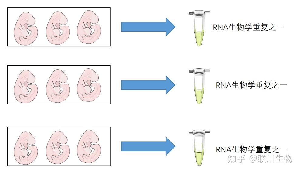 生命科学分多少类,生命科学属于哪个大类 生命科学分多少类,生命科学属于哪个大类