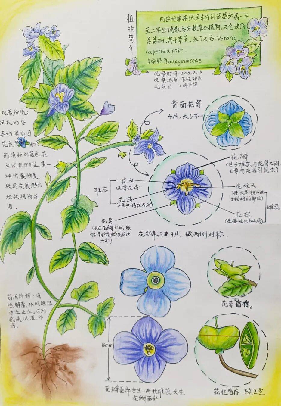 地球科学自然笔记电子书,地球自然笔记手抄报图片大全