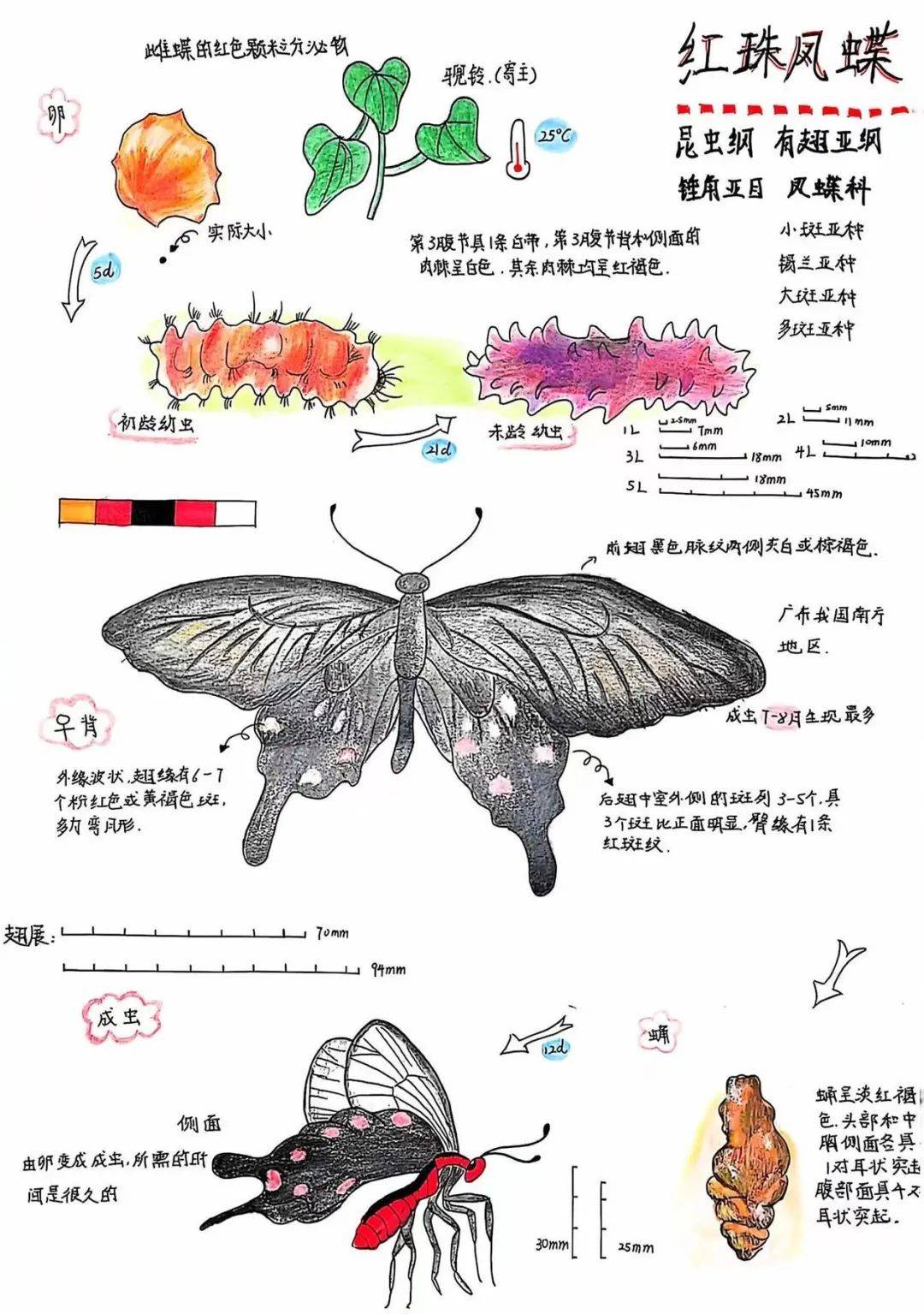 地球科学自然笔记电子书,地球自然笔记手抄报图片大全