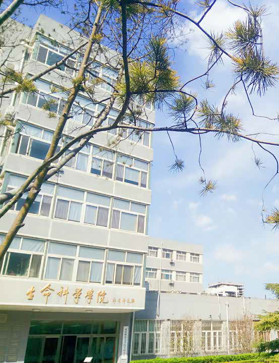 生命科学学院收费标准,生命科学学院收费标准表 生命科学学院收费标准,生命科学学院收费标准表